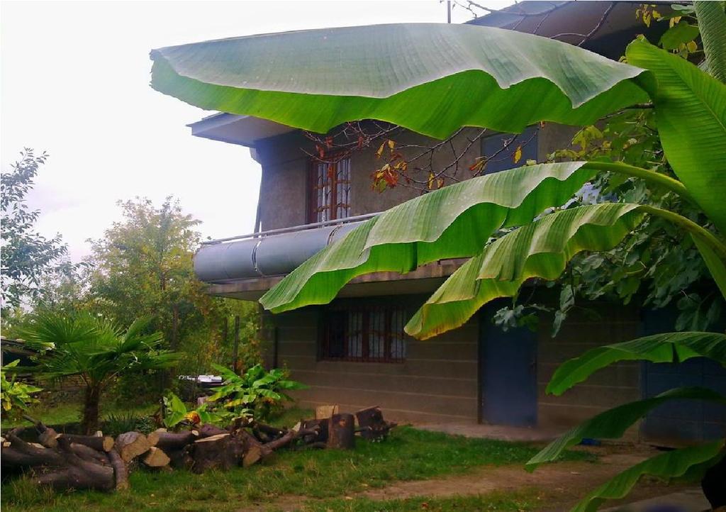 Farmer'S Guest House Telavi Exterior foto